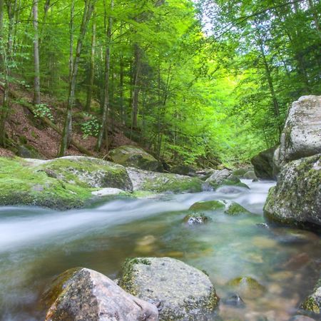 400Qm Bayerische Villa 2500Qm Uneinsehbarer Garten In Beliebter Urlaubsregion フライウング エクステリア 写真