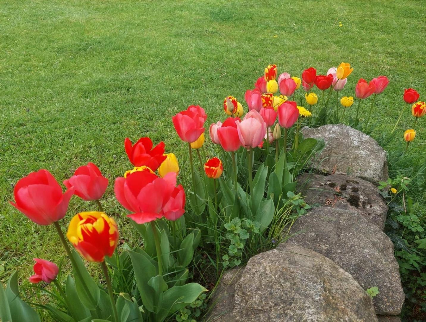 400Qm Bayerische Villa 2500Qm Uneinsehbarer Garten In Beliebter Urlaubsregion フライウング エクステリア 写真